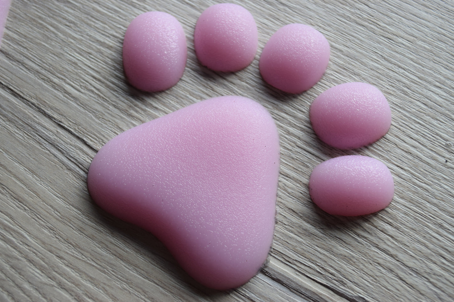 Paw Pads Medium Textured Satin Canine