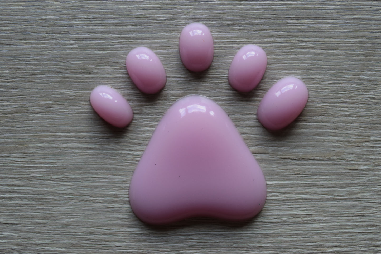 Paw Pads Medium Smooth Canine