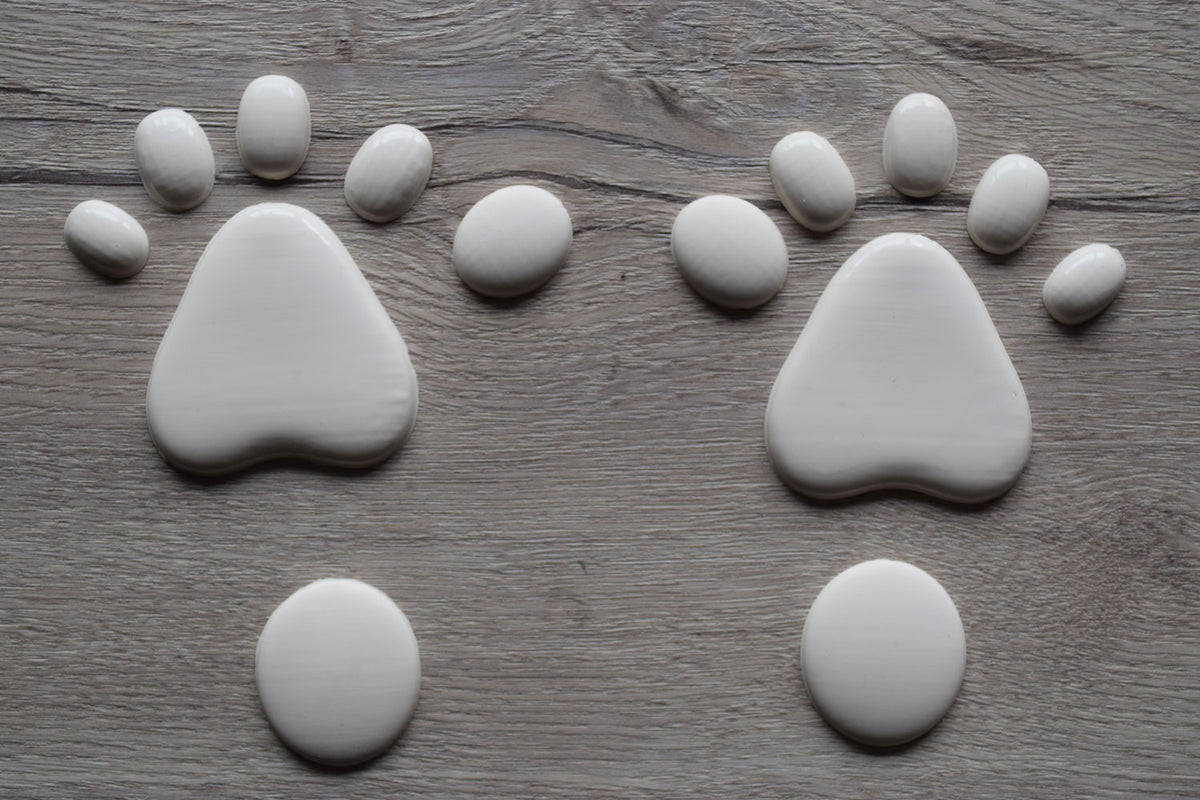 Latex Paw Pads Canine Smooth Foot Paws