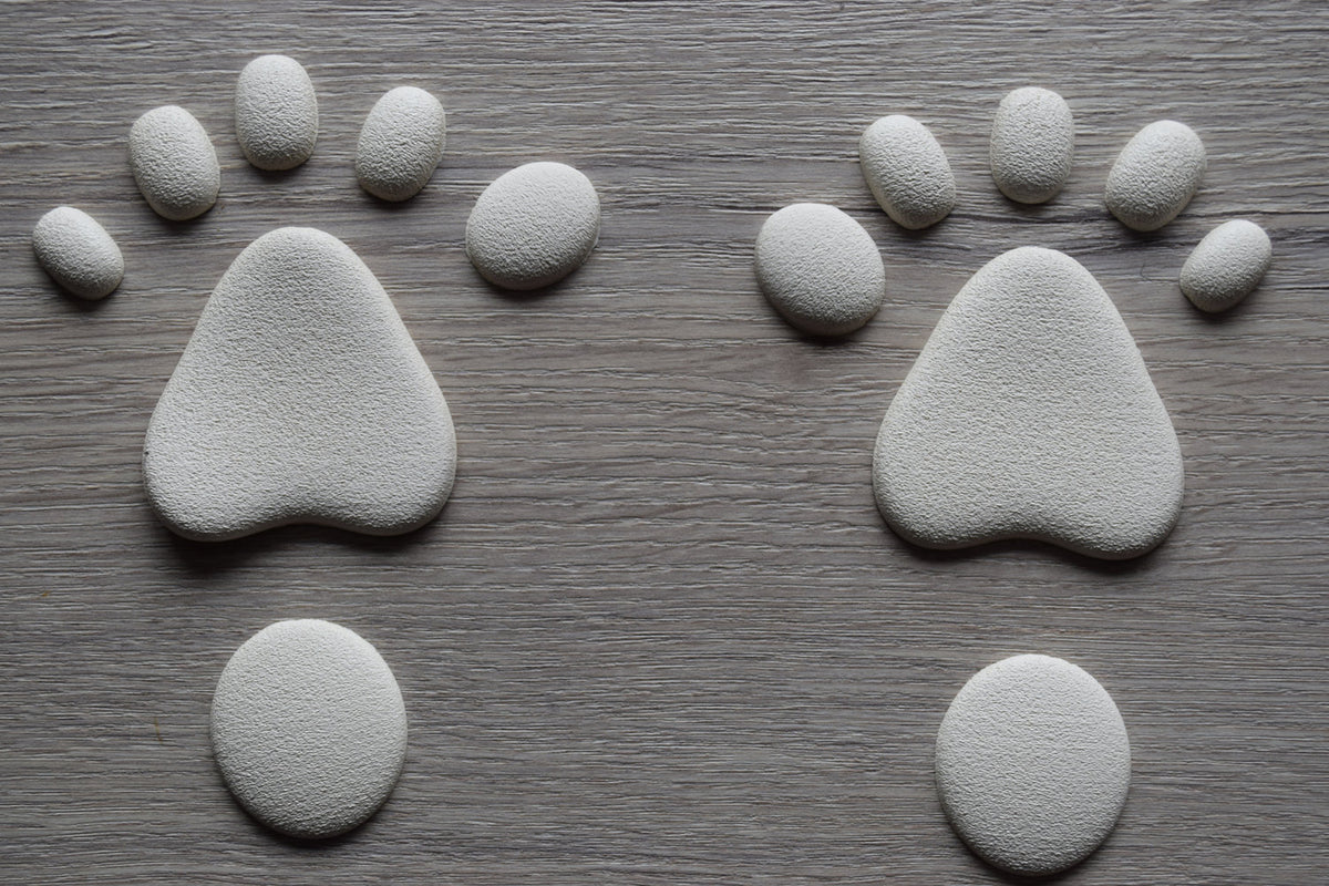 Latex Paw Pads Canine Textured Foot Paws