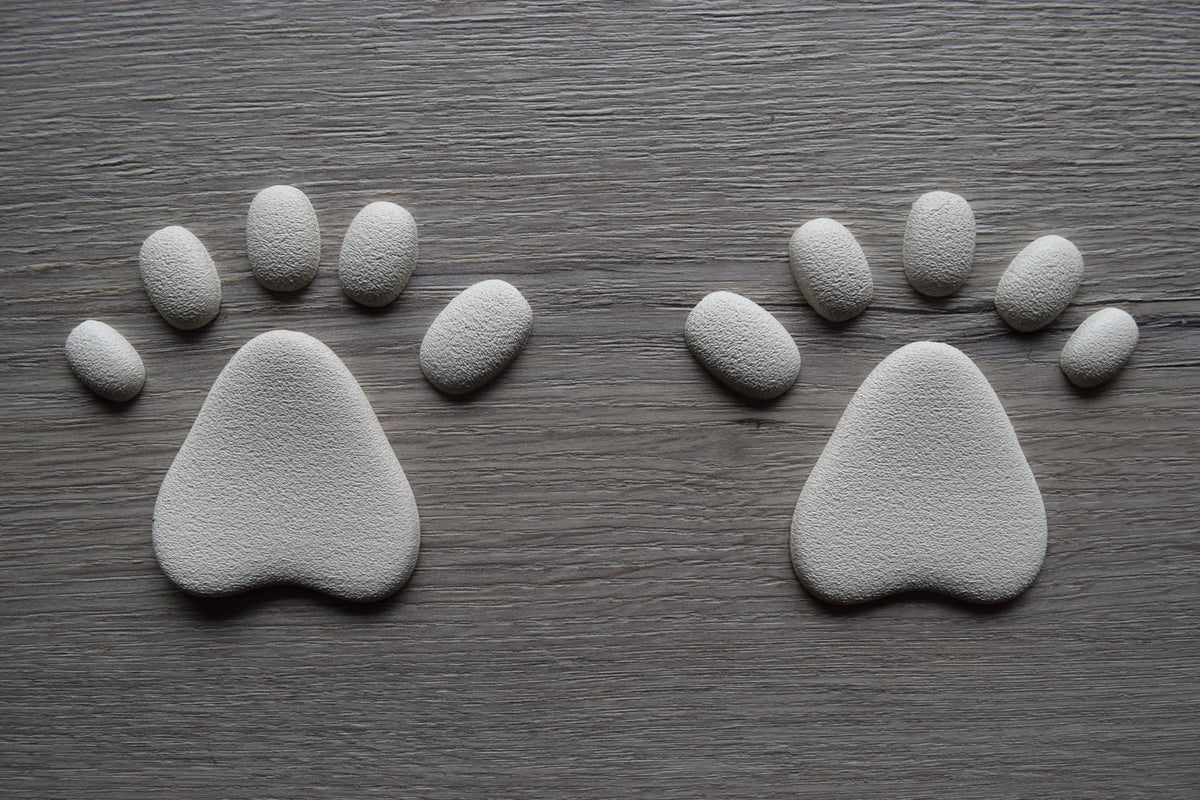 Latex Paw Pads Canine Textured Hand Paws