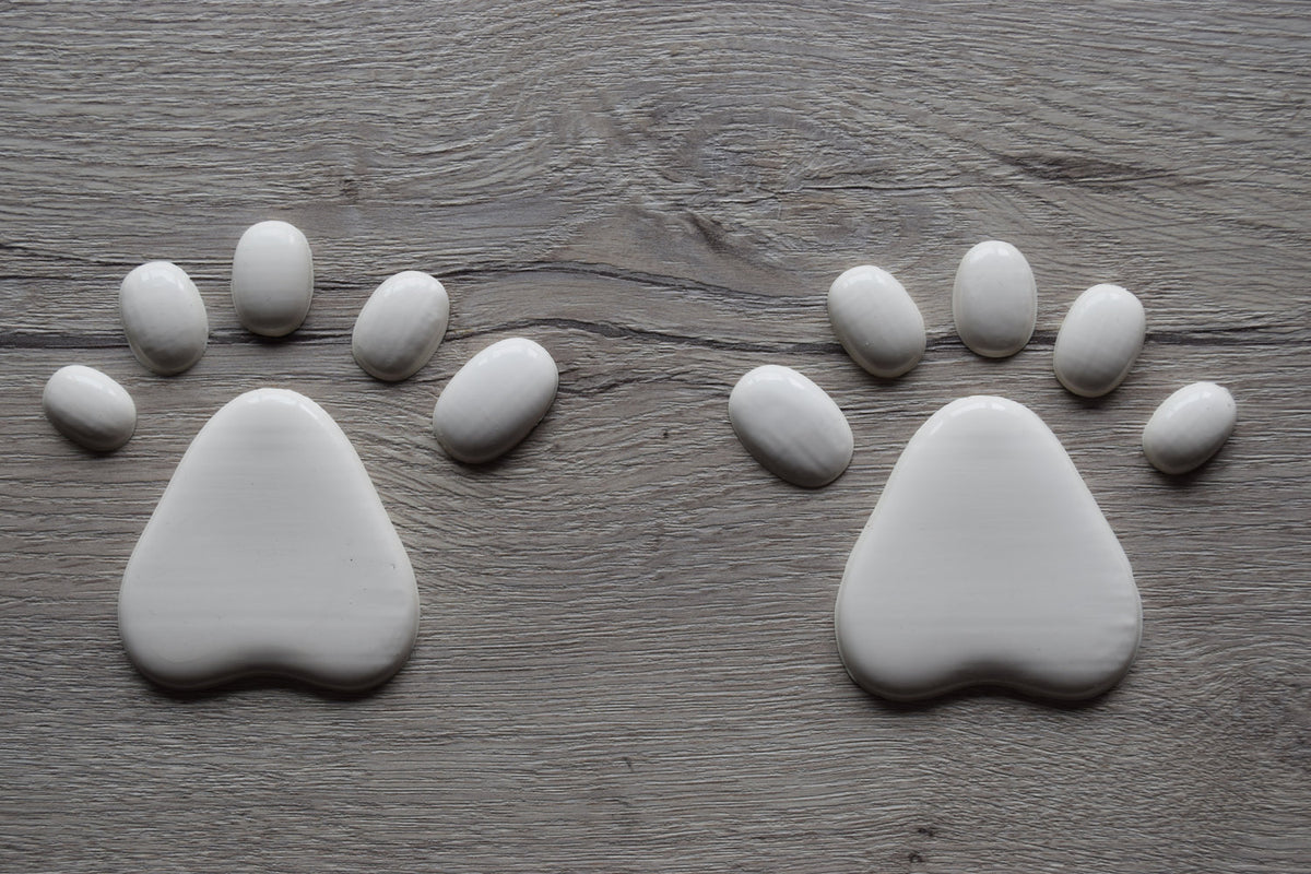 Latex Paw Pads Canine Smooth Hand Paws